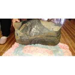 Mistério: moradora de Campo Largo presencia pedra caindo do céu